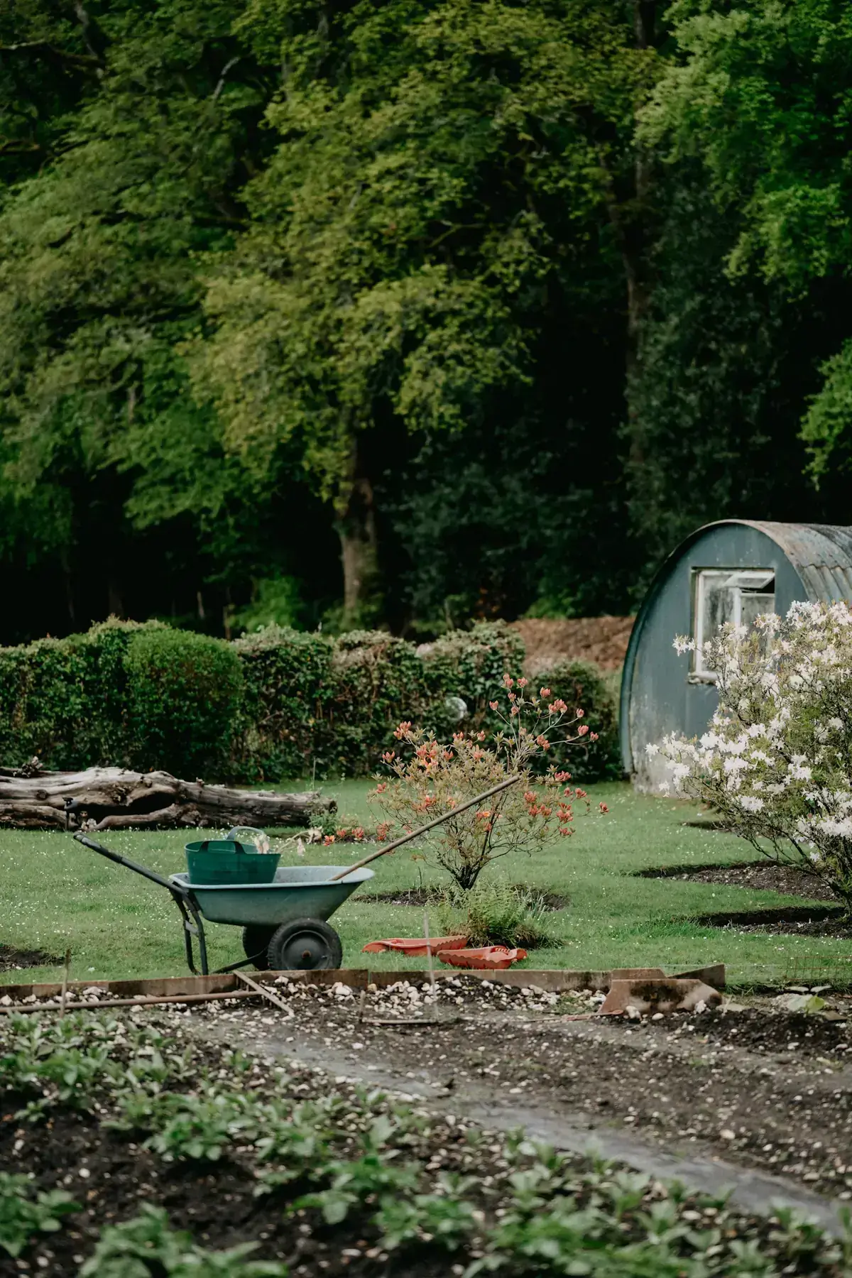 Jardin avec brouette et massifs