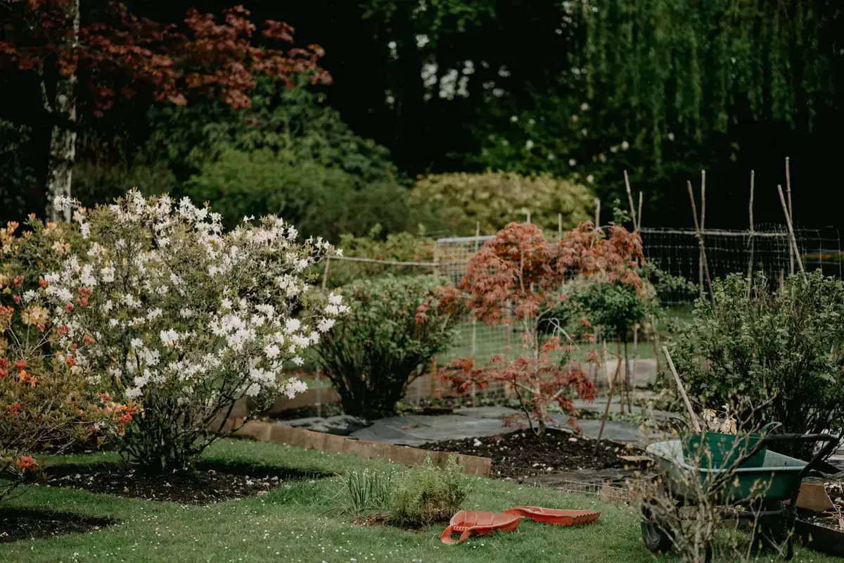Jardin potager et plantations